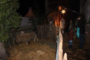 kuk-2016_img_6123_web